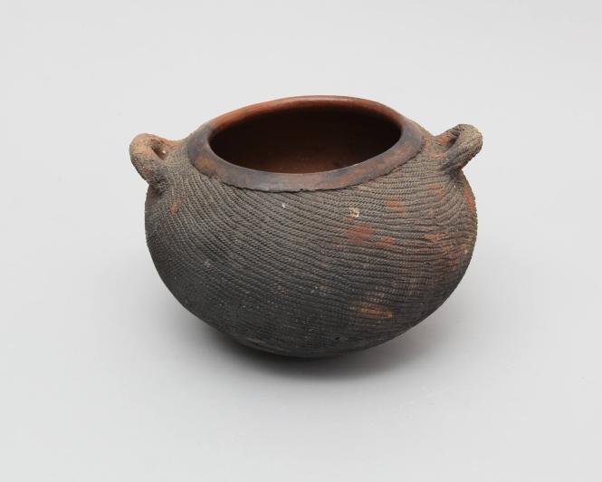 Stew pot