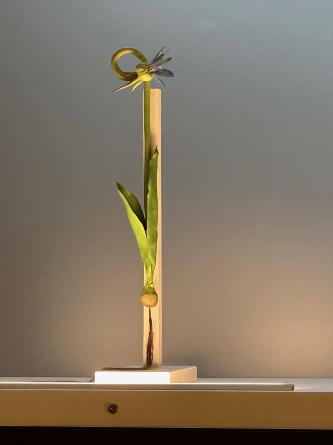 Fantasy Flower Series, Specimen No. 2 (After Mary Delany)