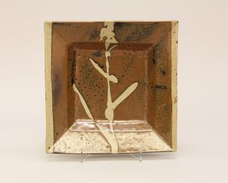 Square plate with sugar cane